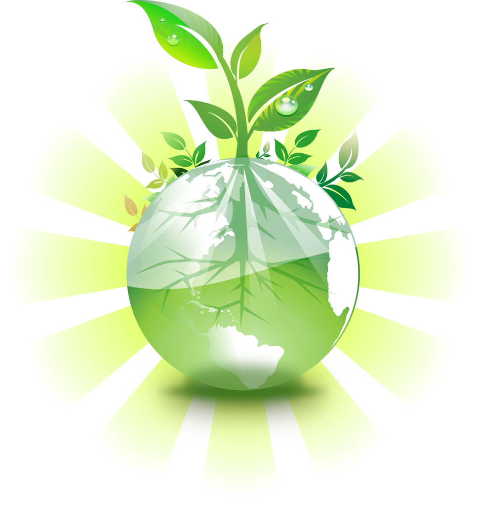 Plant growing from the earth graphic