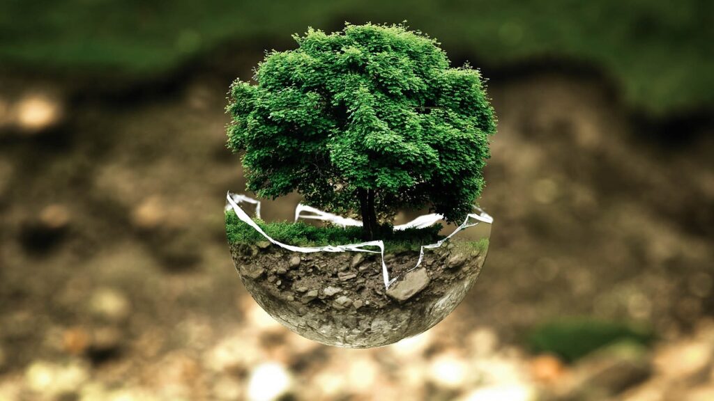 environmental protection graphic of a tree growing
